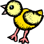 Chick 13