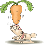 Rabbit Balancing Carrot