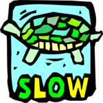 Turtle - Slow 1