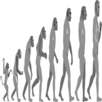 Evolutionary Chain
