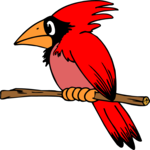 Cardinal