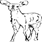 Deer 5