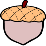 Acorn 6