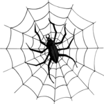 Spider Web 6