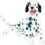 Dalmatian 1