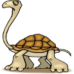 Tortoise - Long Neck