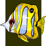 Fish 188
