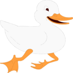 Duck 13