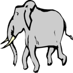 Elephant 19