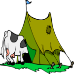 Cow in Tent