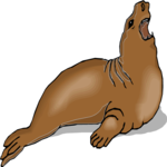 Seal 21