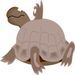 Turtle - OK