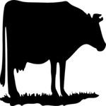 Cow 2