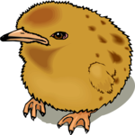 Chick 11