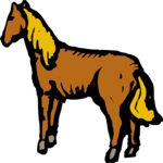 Horse 29