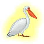 Pelican 13