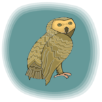 Owl 30