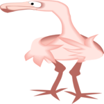 Flamingo 08