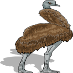 Emu