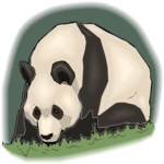 Panda 10