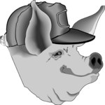 Pig 01