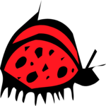 Ladybug 05
