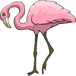 Flamingo 16