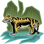 Tiger 13