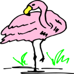 Flamingo 06