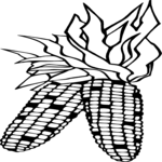 Corn - Indian