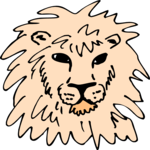 Lion 12