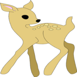 Fawn