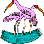Flamingos 2