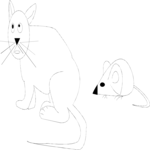 Cat & Mouse 3