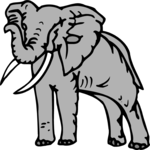 Elephant 12