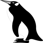 Penguin 04