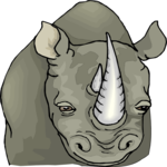 Rhino 10