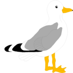 Seagull 01