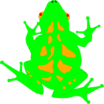Frog 01