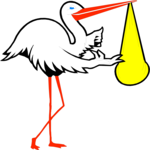 Stork 01