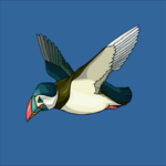 Puffin 07