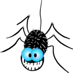 Spider - Nutty