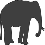 Elephant 7