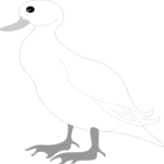 Duck 05