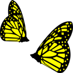 Butterflies 3