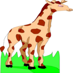 Giraffe 09