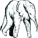 Elephant 20