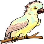 Cockatoo 03