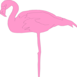 Flamingo 03