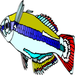 Rainbowfish 1